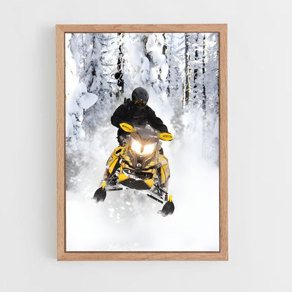ap-ski-doo renegade-1 cadre Bois clair