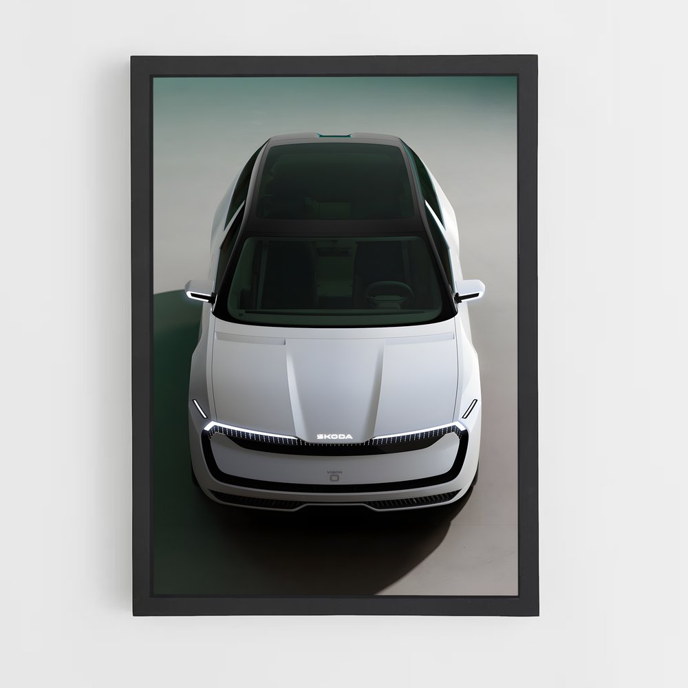 ap-skoda-3 cadre Noir