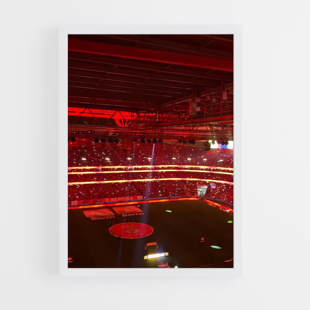 ap-sl benfica-10 cadre Blanc