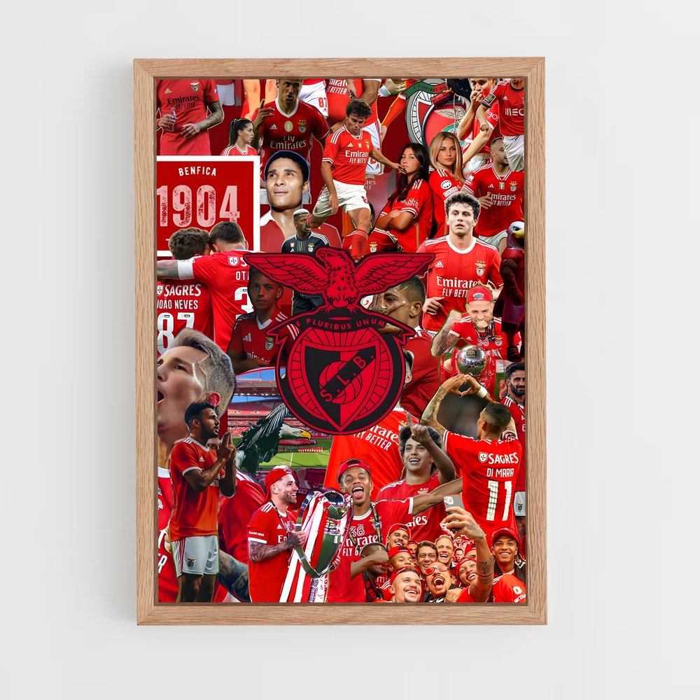 ap-sl benfica-15 cadre Bois clair