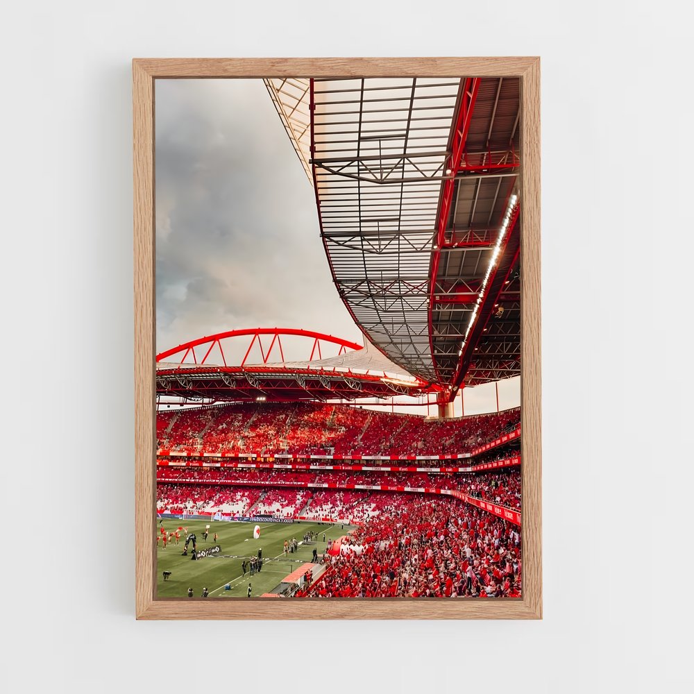 ap-sl benfica-5 cadre Bois clair