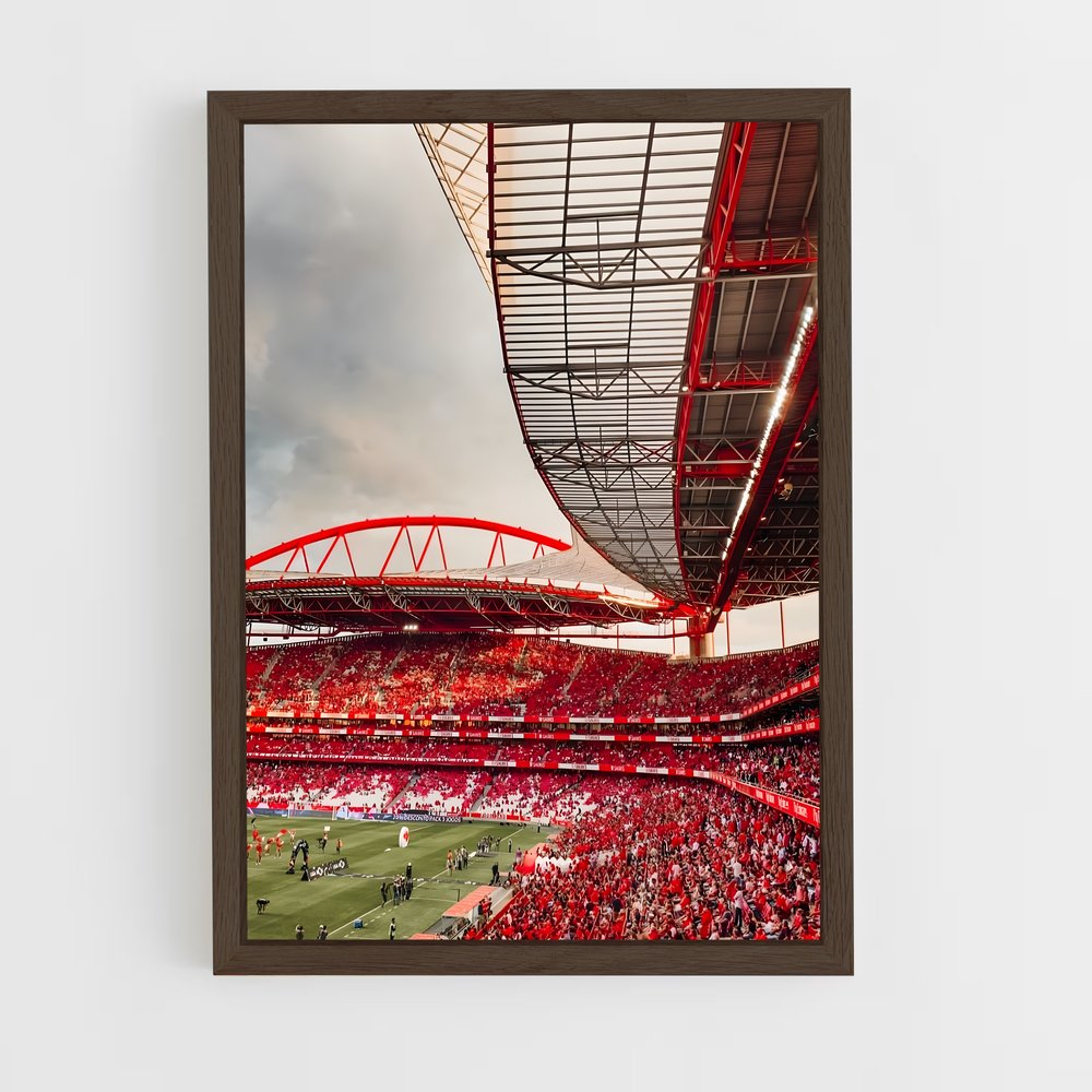 ap-sl benfica-5 cadre Bois foncé