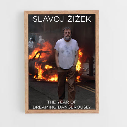 ap-slavoj zizek-4 cadre Bois clair