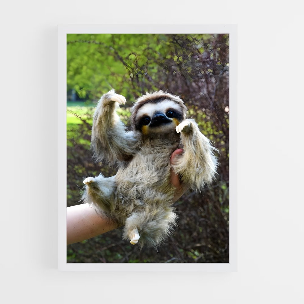 ap-sloth-3 cadre Blanc