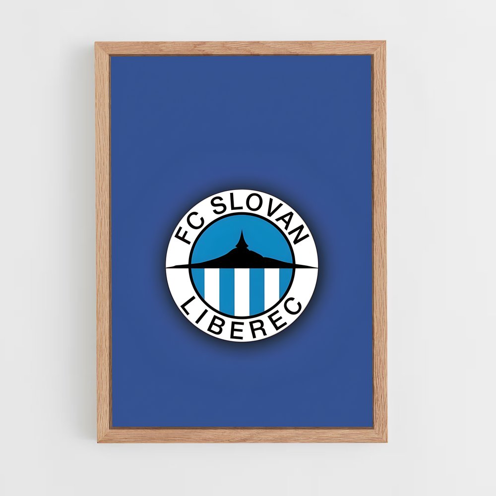 ap-slovan liberec-2 cadre Bois clair
