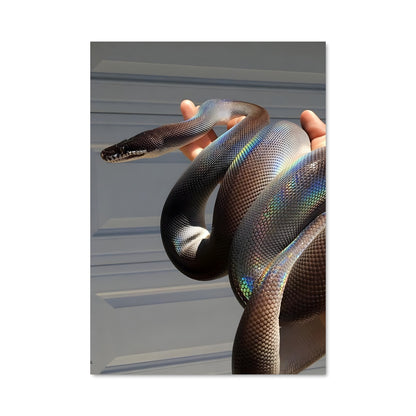 Poster Serpent Entre Les Mains