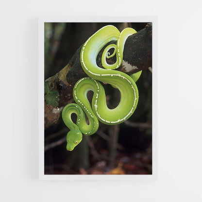 ap-snake-2 cadre Blanc