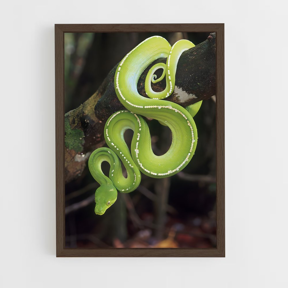 ap-snake-2 cadre Bois foncé