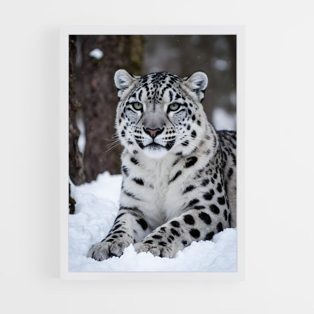ap-snow leopard-2 cadre Blanc