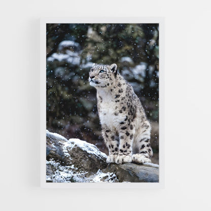 ap-snow leopard-8 cadre Blanc