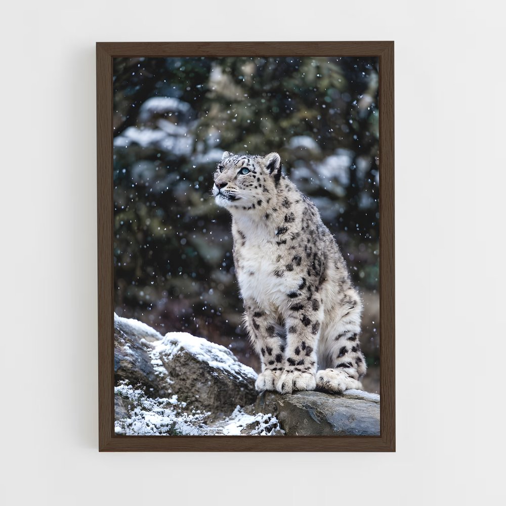 ap-snow leopard-8 cadre Bois foncé