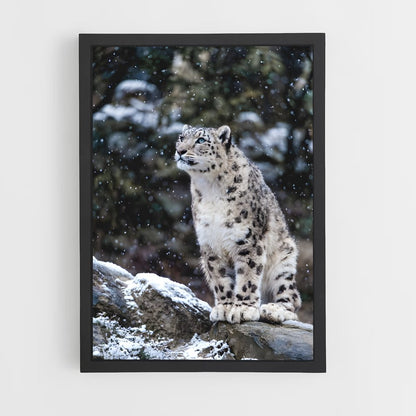 ap-snow leopard-8 cadre Noir
