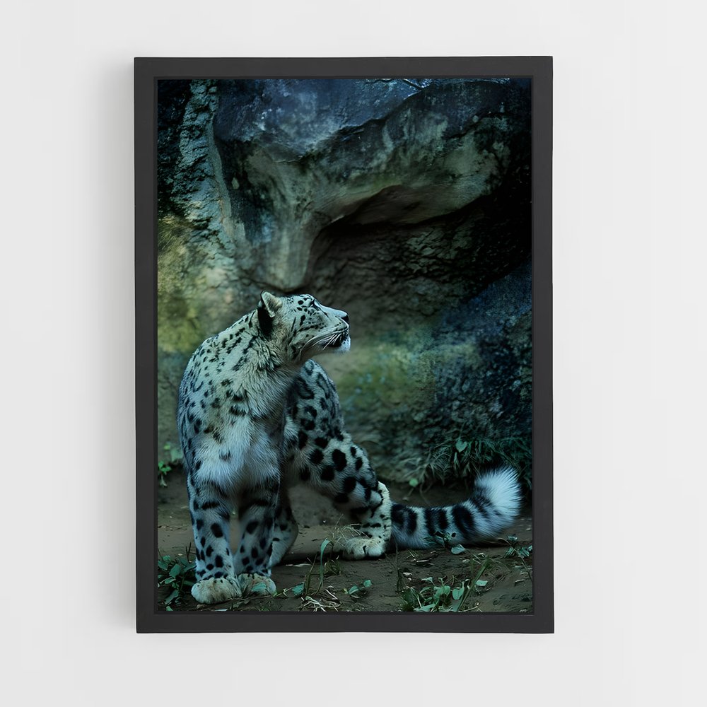 ap-snow leopard-9 cadre Noir