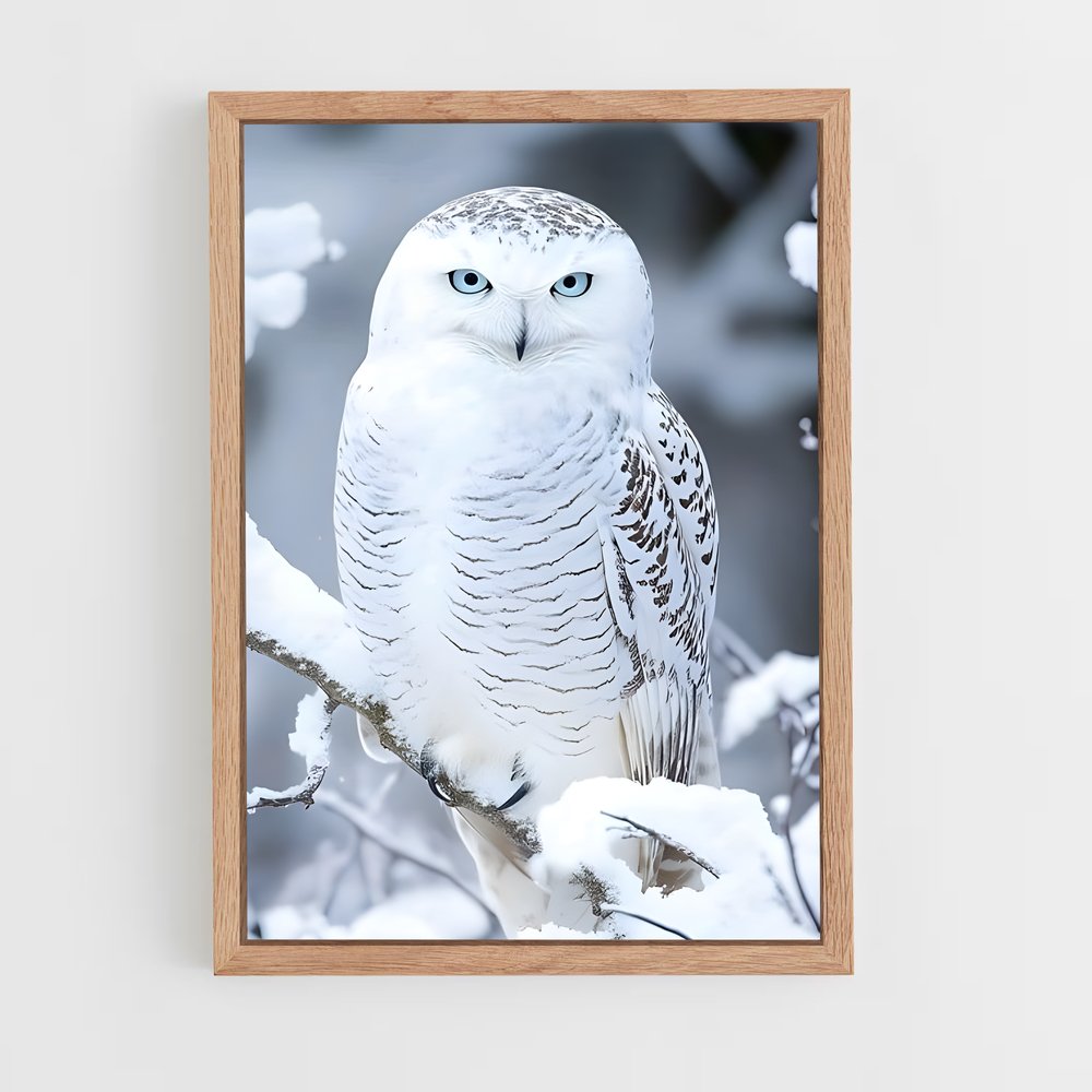 ap-snowy owl-1 cadre Bois clair