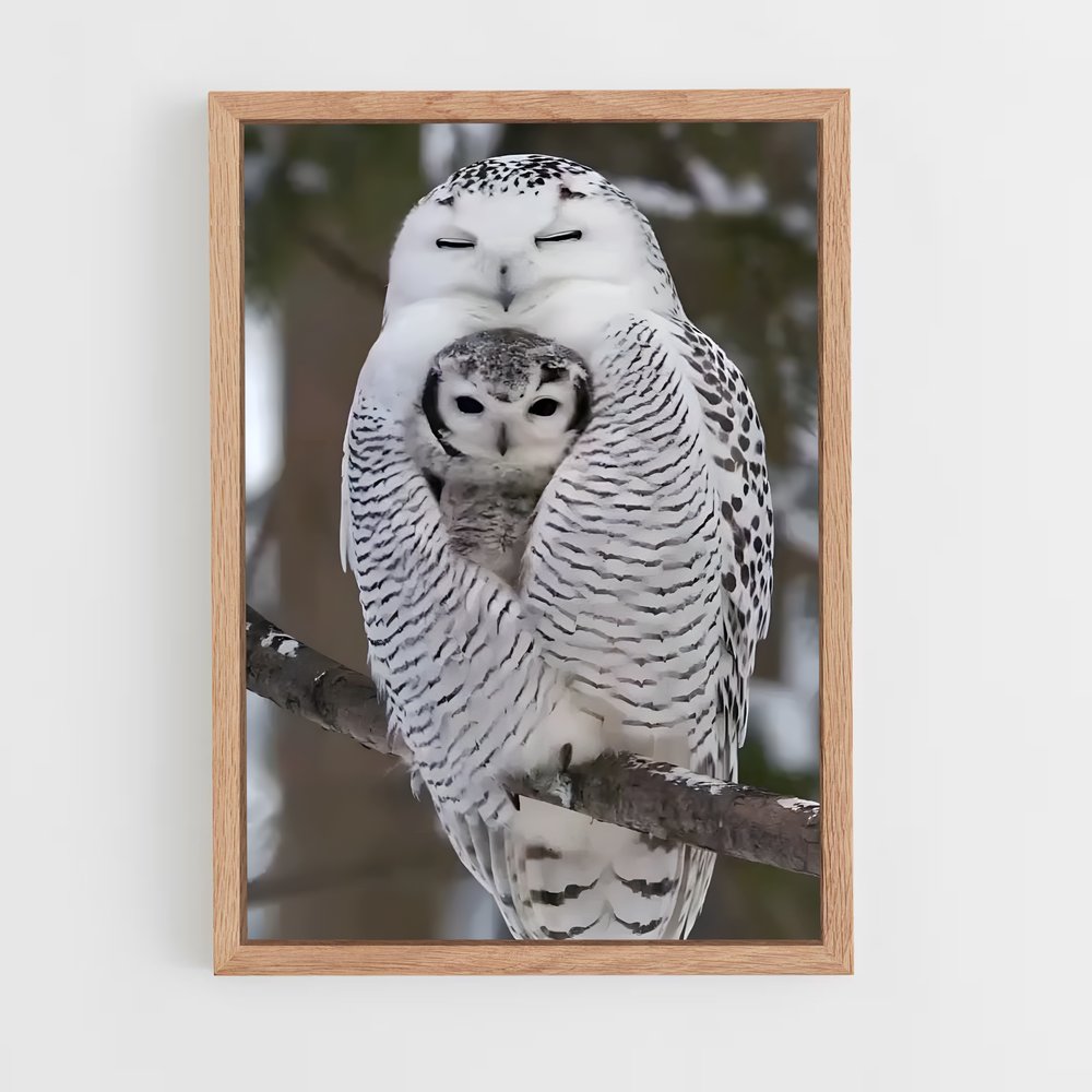 ap-snowy owl-3 cadre Bois clair