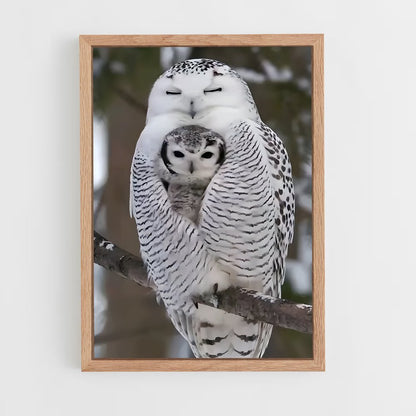 ap-snowy owl-3 cadre Bois clair