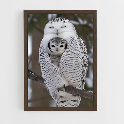 ap-snowy owl-3 cadre Bois foncé