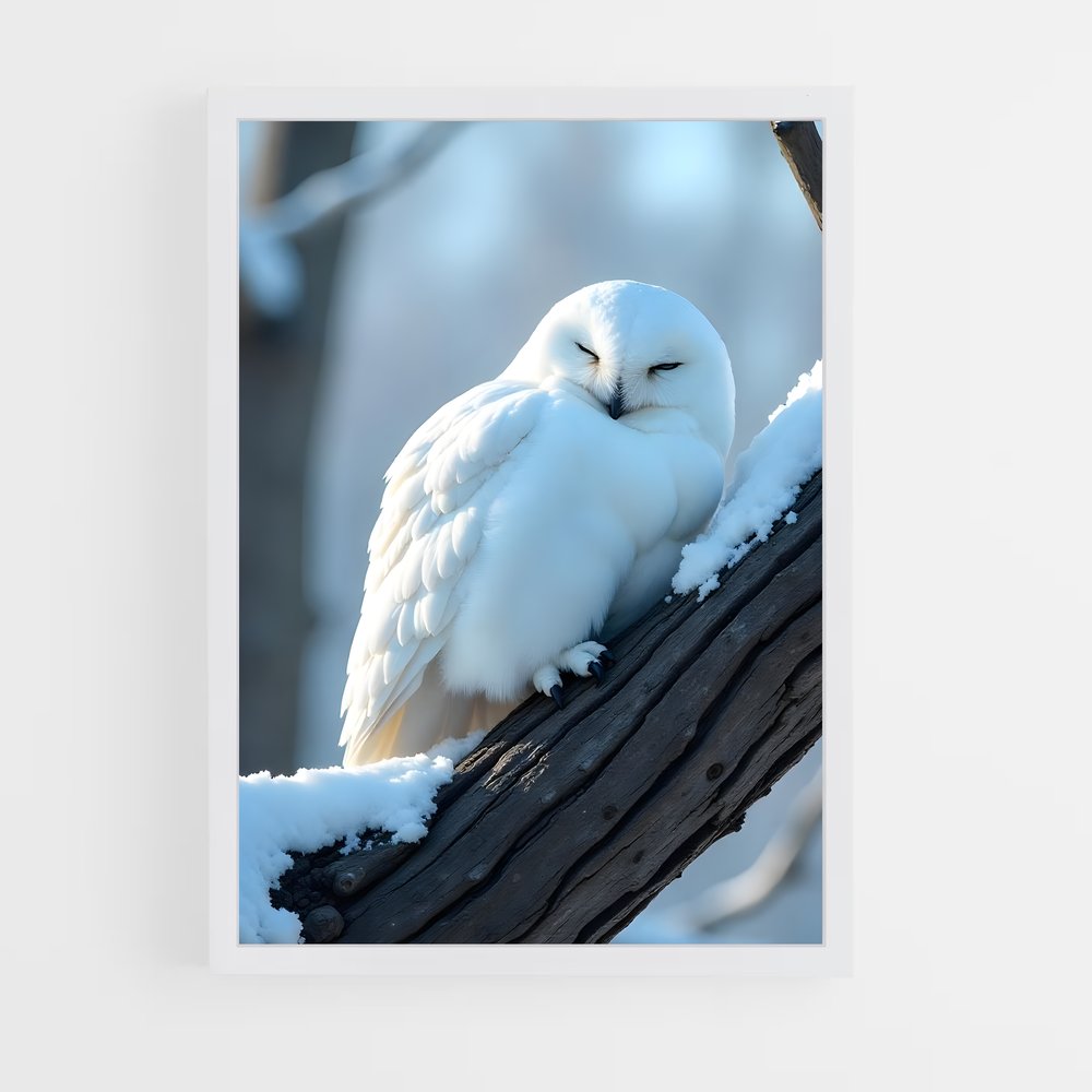 ap-snowy owl-4 cadre Blanc