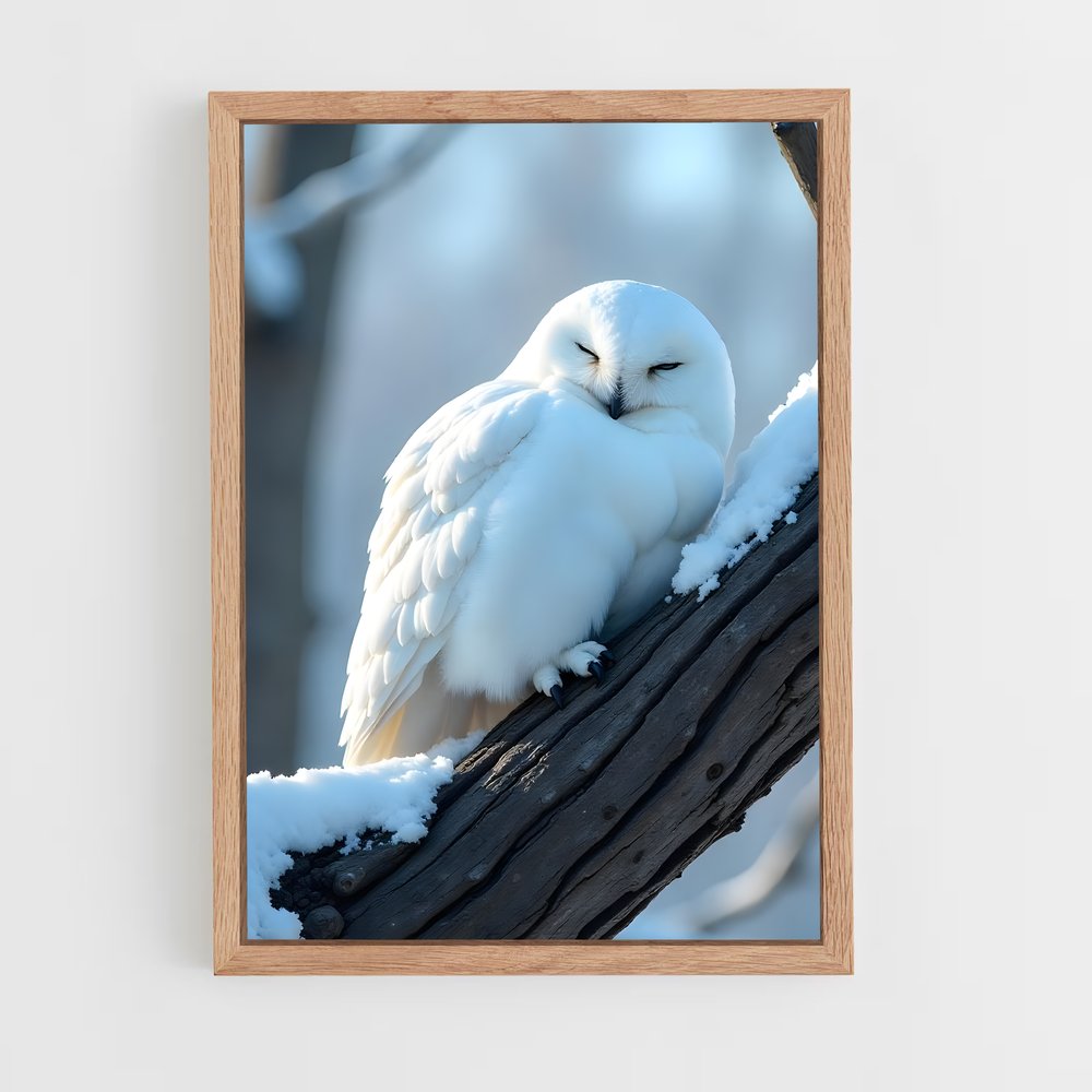 ap-snowy owl-4 cadre Bois clair