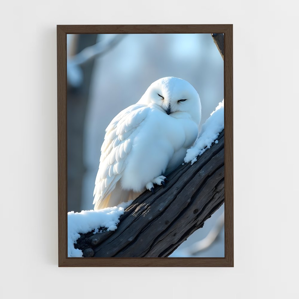 ap-snowy owl-4 cadre Bois foncé