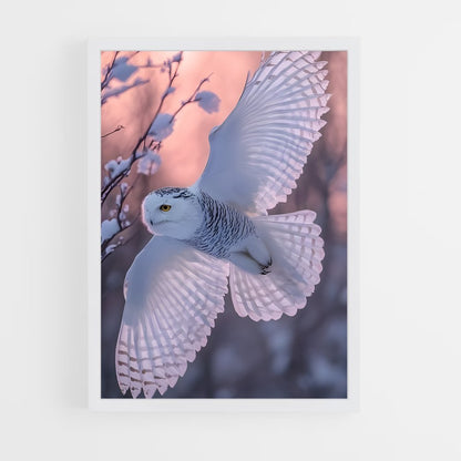 ap-snowy owl-7 cadre Blanc