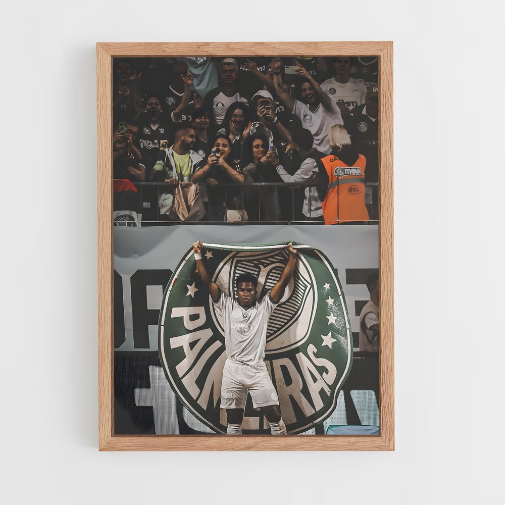 ap-sociedade esportiva palmeiras-6 cadre Bois clair