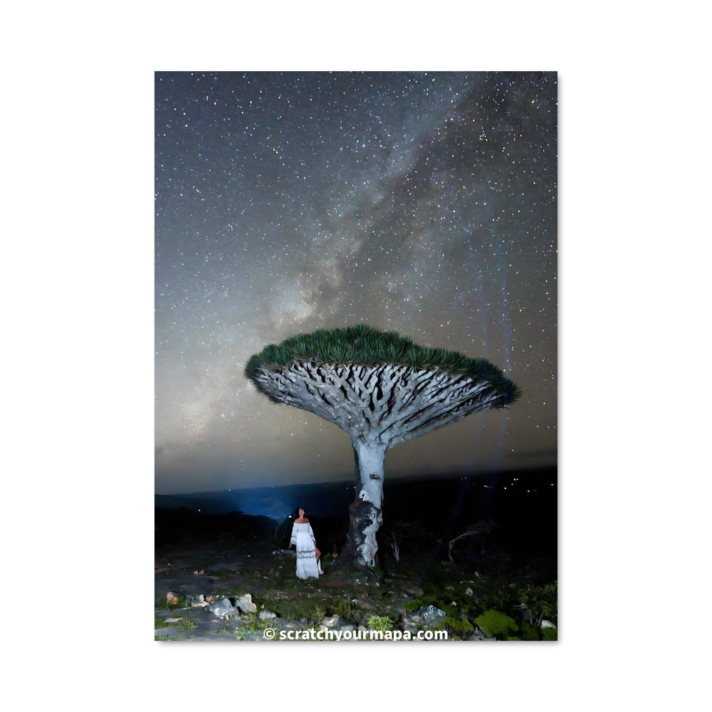 Poster Sous l'Arbre des Étoiles