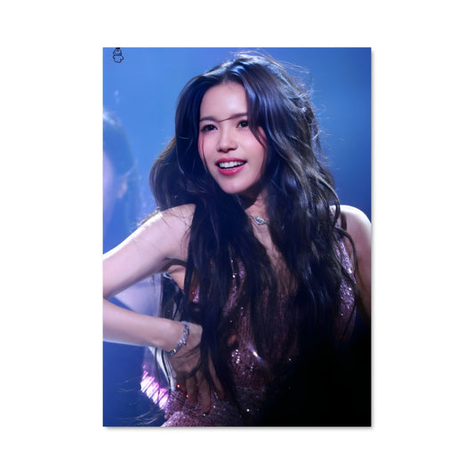 Poster Solar 48773