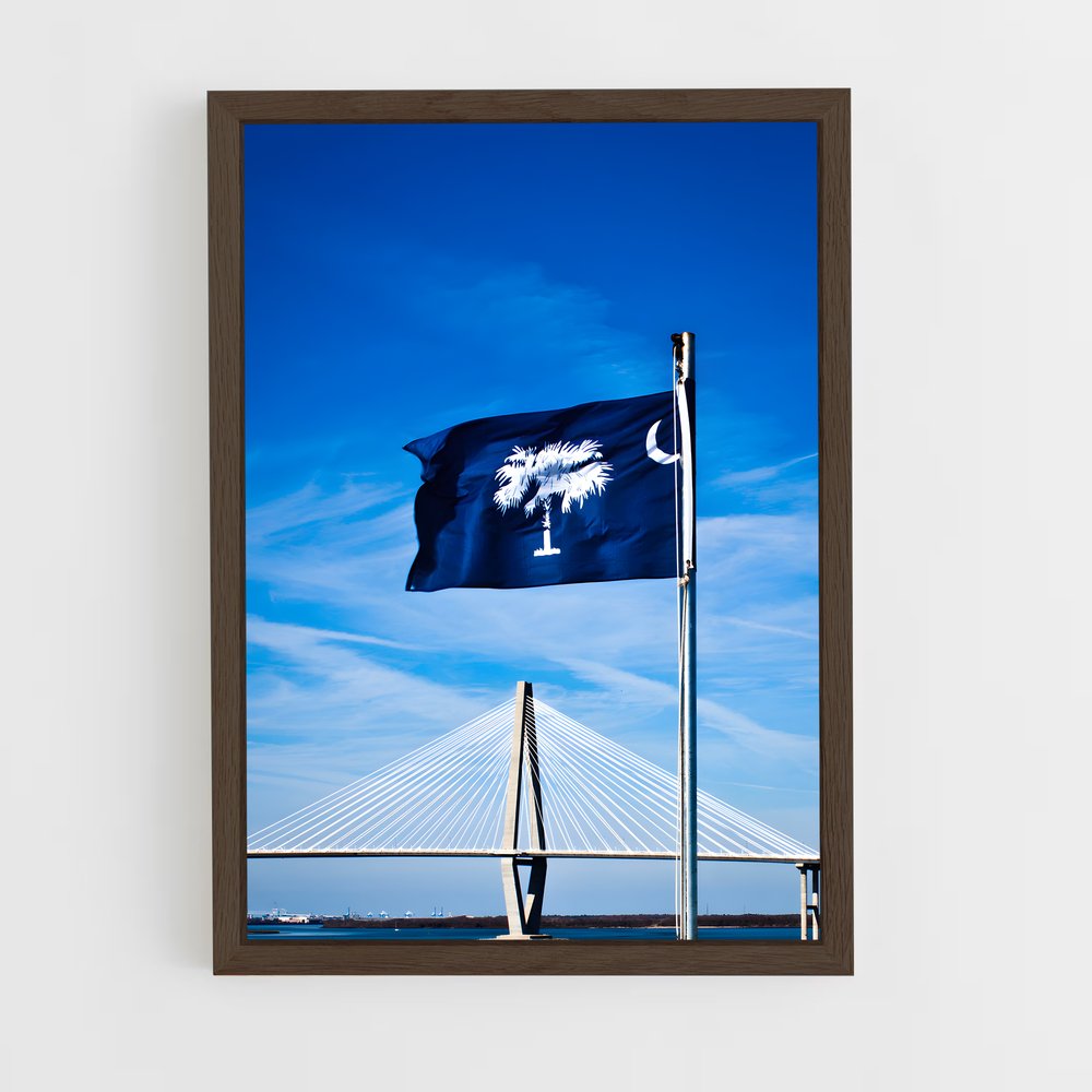 ap-south carolina flag-2 cadre Bois foncé