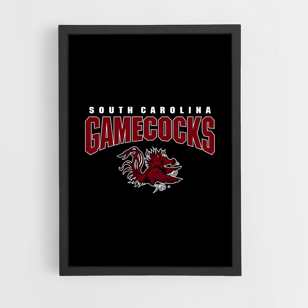 ap-south carolina gamecocks-1 cadre Noir