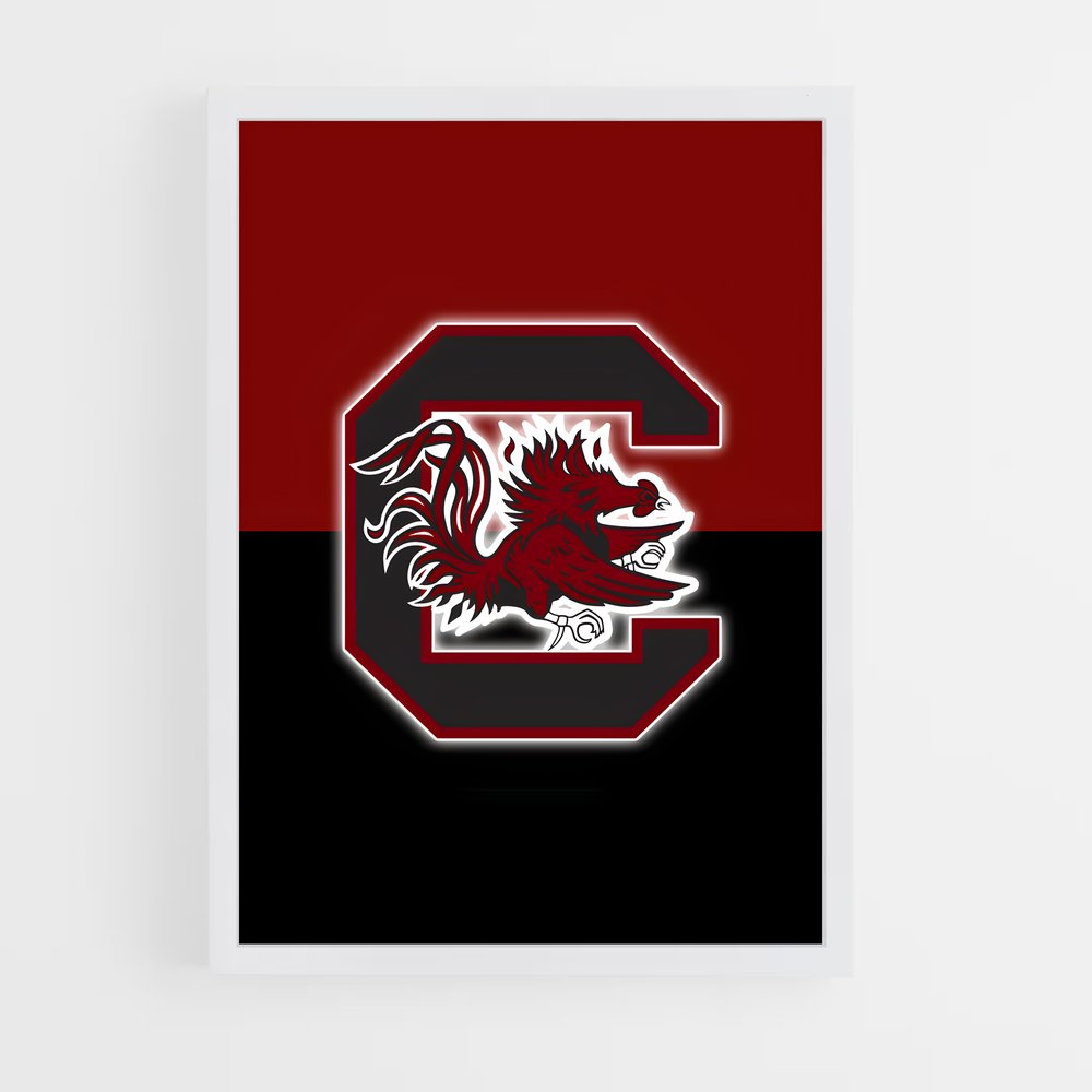 ap-south carolina gamecocks-3 cadre Blanc