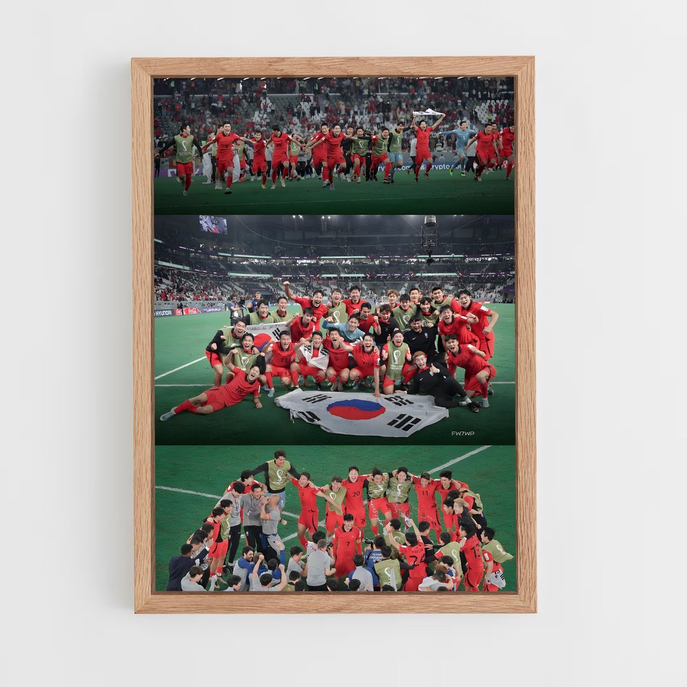ap-south korea national football team-1 cadre Bois clair