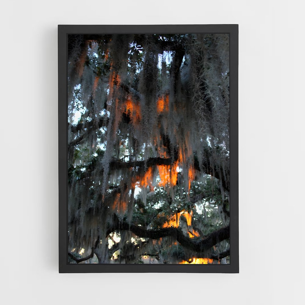 ap-spanish moss-6 cadre Noir