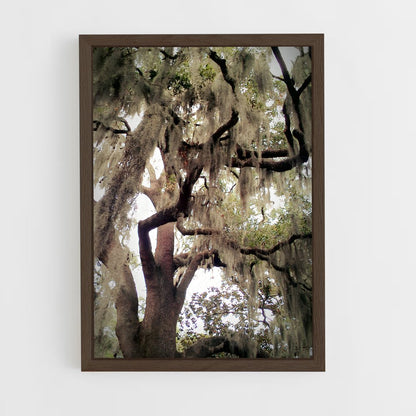 ap-spanish moss-7 cadre Bois foncé