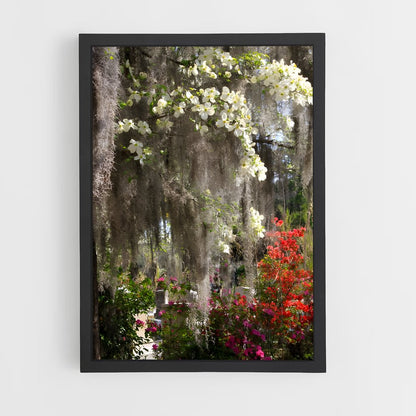 ap-spanish moss-8 cadre Noir