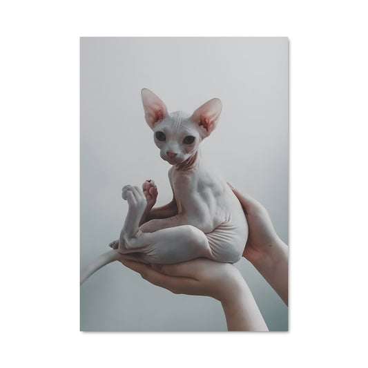 Poster Sphinx & Félin