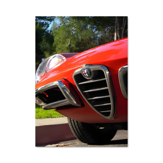Poster Spider veloce 75962