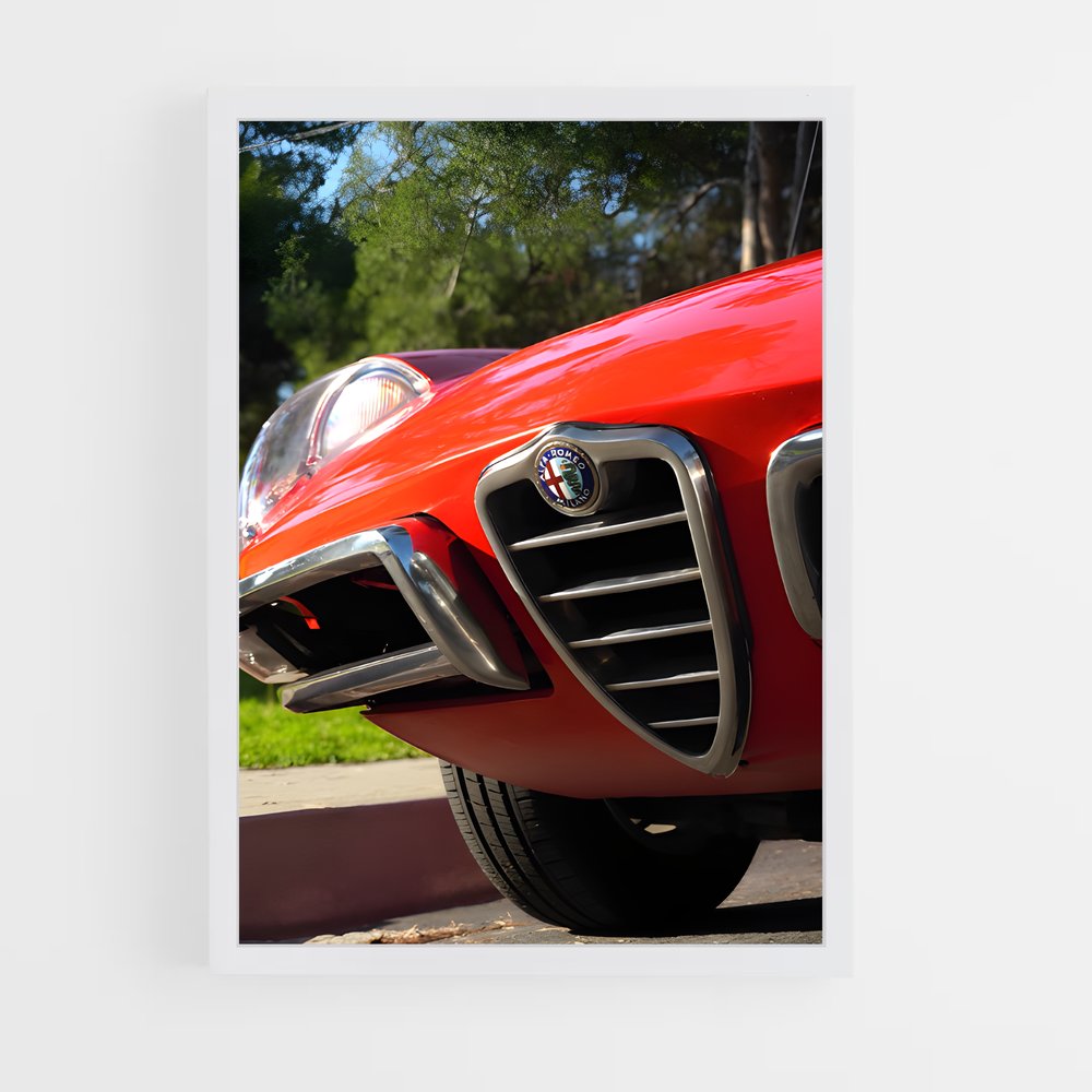 ap-spider veloce-1 cadre Blanc