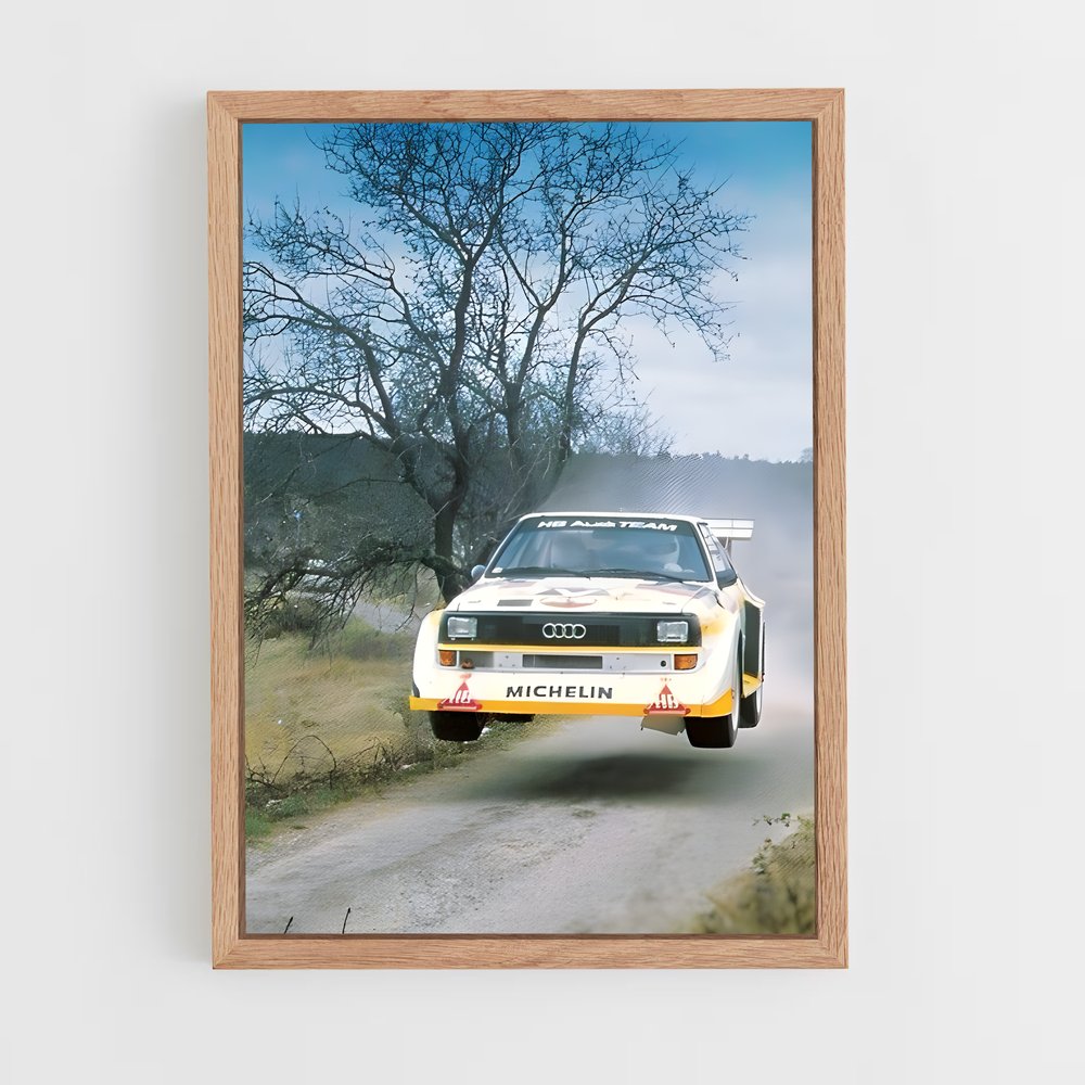 ap-sport quattro-1 cadre Bois clair