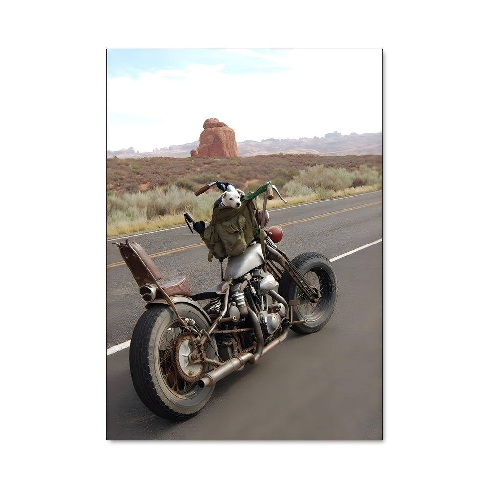 Poster Route du Motard