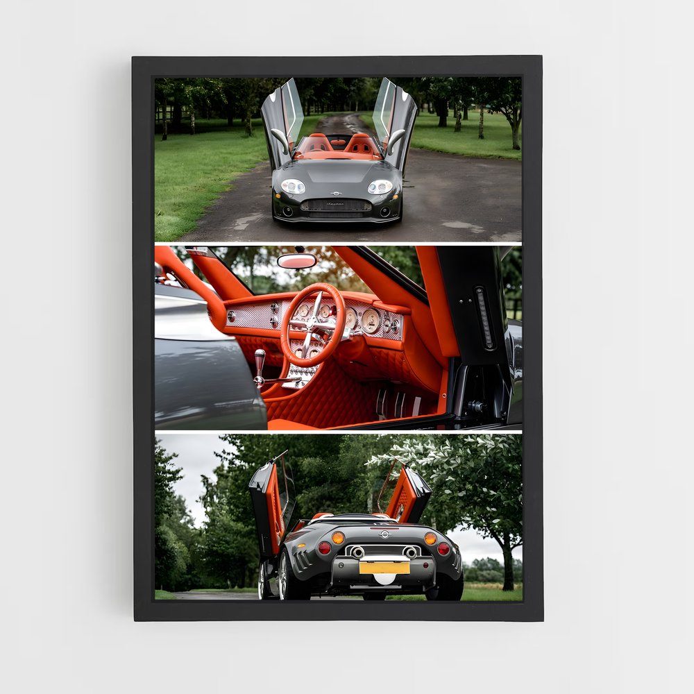 ap-spyker-1 cadre Noir