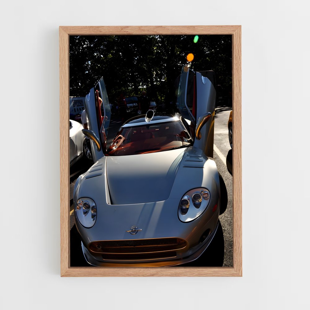 ap-spyker-2 cadre Bois clair