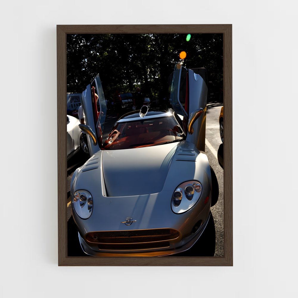 ap-spyker-2 cadre Bois foncé