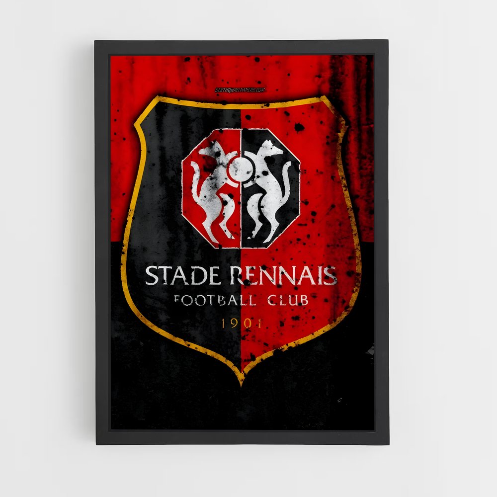 ap-stade rennais fc-7 cadre Noir