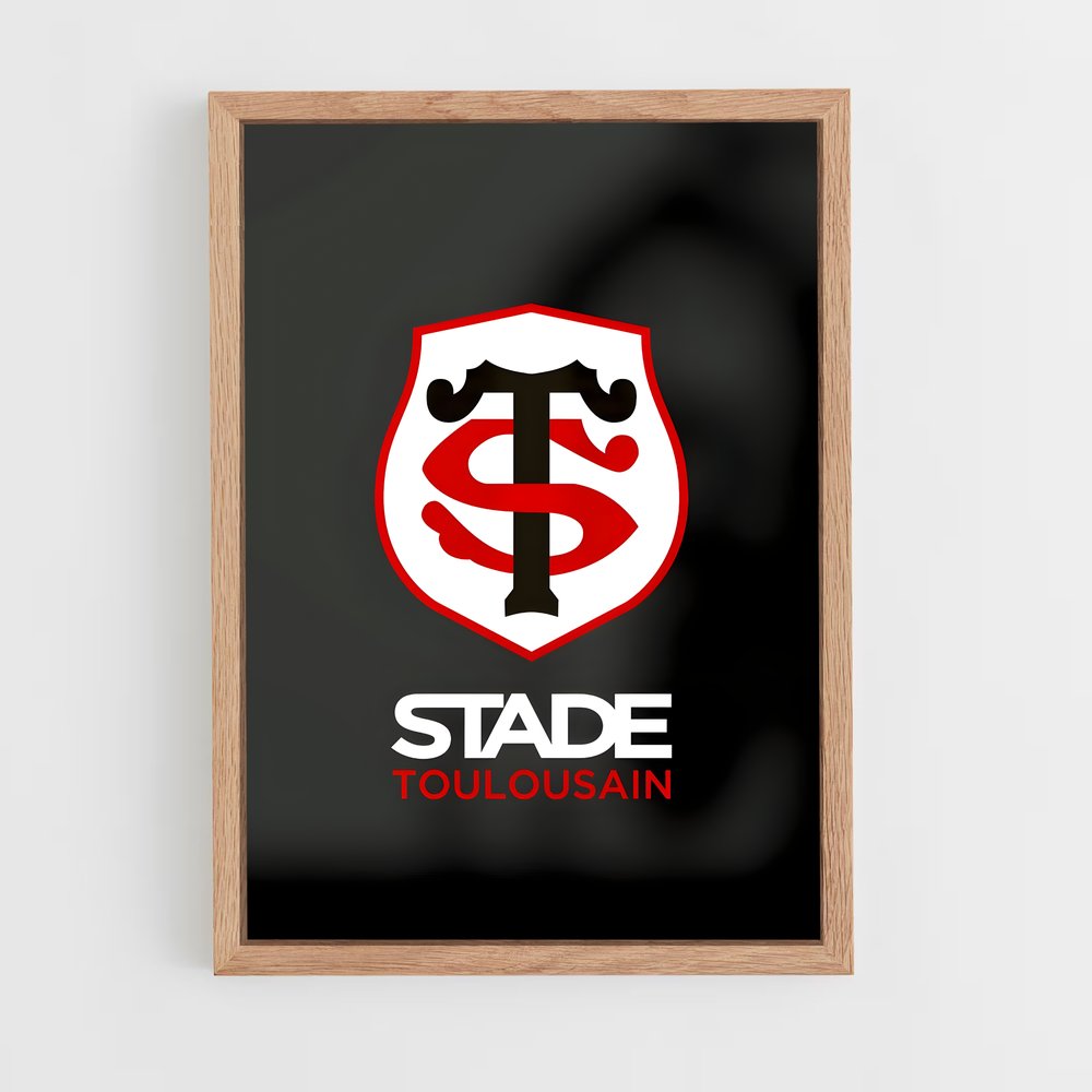 ap-stade toulousain-3 cadre Bois clair