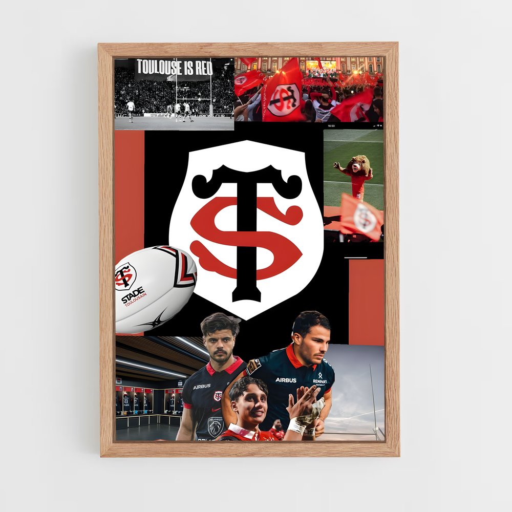 ap-stade toulousain-4 cadre Bois clair