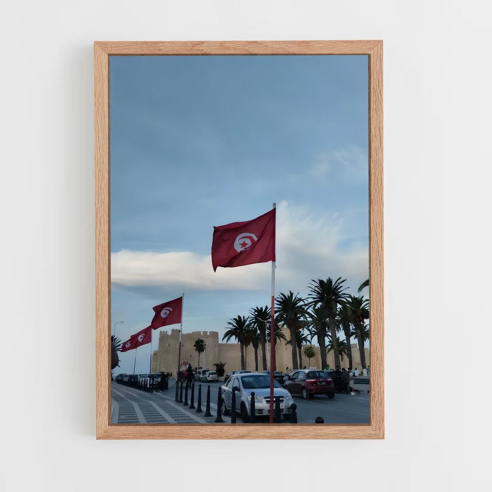 ap-stade tunisien-3 cadre Bois clair