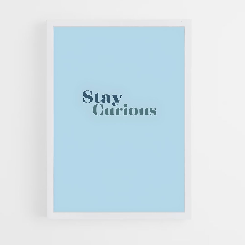 ap-stay curious-3 cadre Blanc