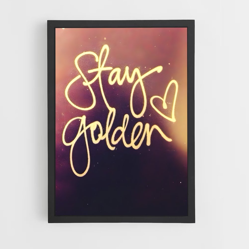 ap-stay golden-1 cadre Noir