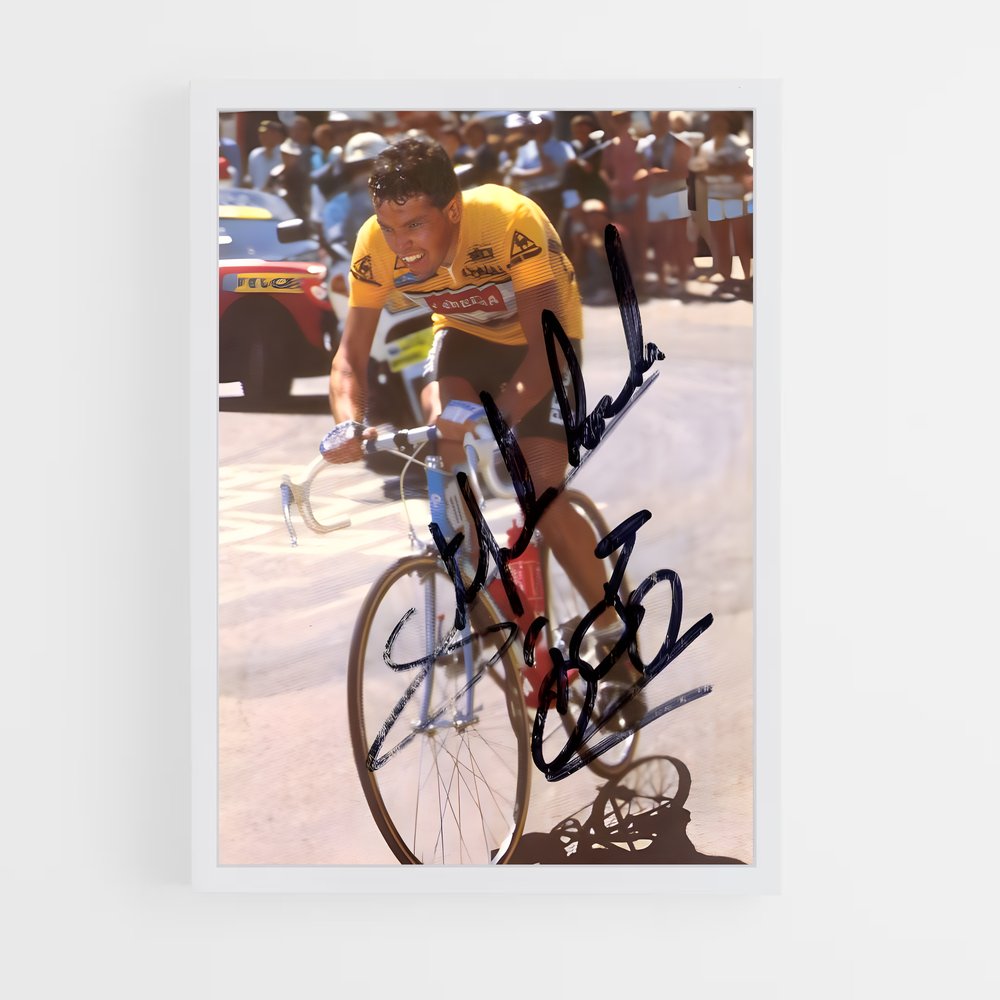 ap-stephen roche-1 cadre Blanc